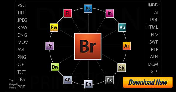 uses of adobe bridge